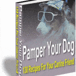 pamperdogbk