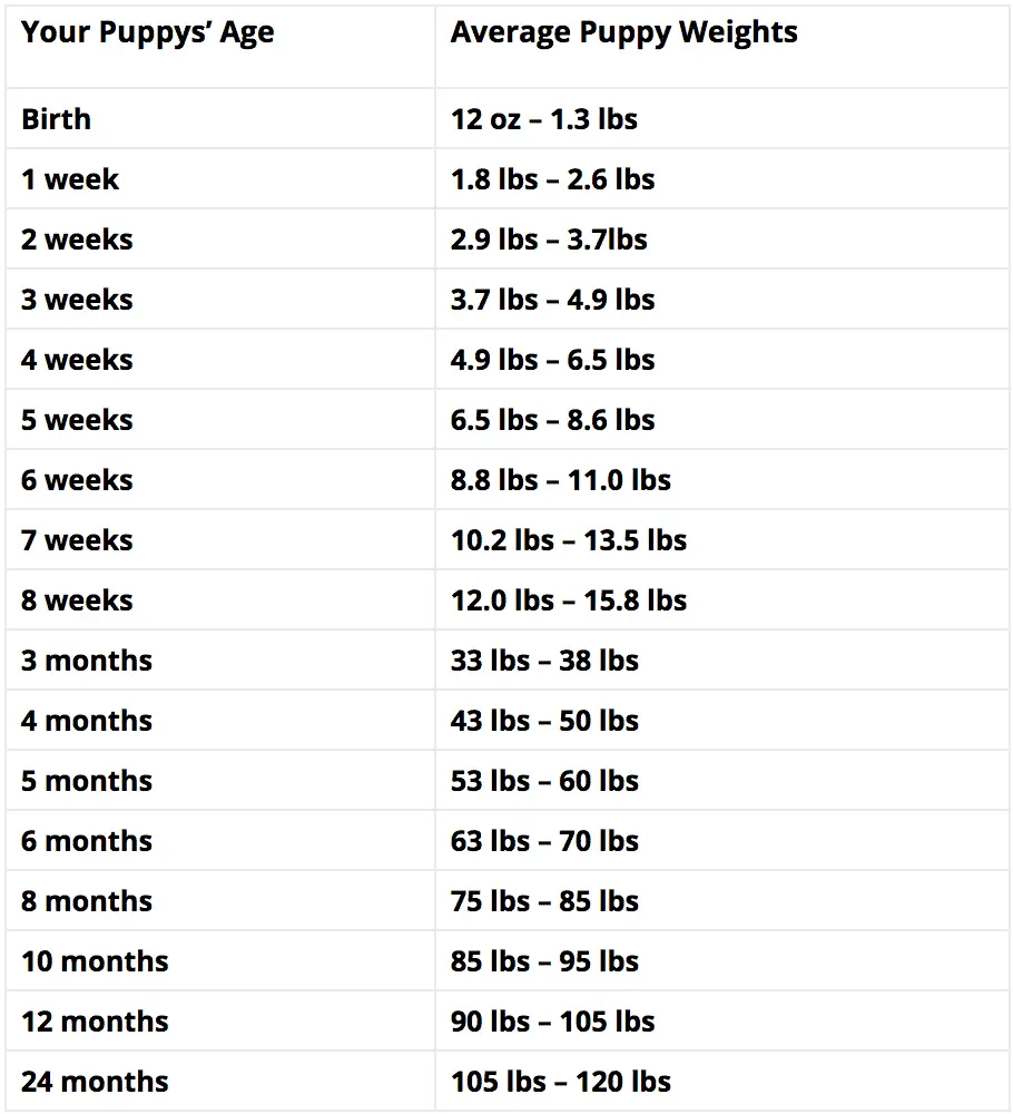 Rottweiler Growth Chart Rottweiler Height Chart Rottweiler Weight Chart Rottweiler Life