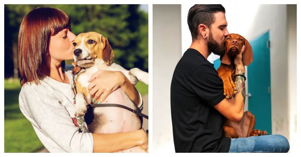 Humans Kiss Their Dogs